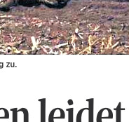 die hams 22.12.19_Teilbild