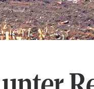 die hams 22.12.19_Teilbild