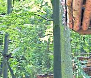 DIE HARKE vom 10-06-2020_Teilbild