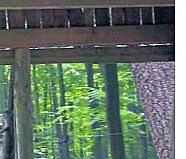 DIE HARKE vom 10-06-2020_Teilbild