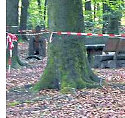 DIE HARKE vom 10-06-2020_Teilbild