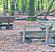 DIE HARKE vom 10-06-2020_Teilbild