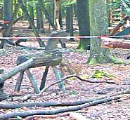 DIE HARKE vom 10-06-2020_Teilbild