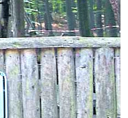 DIE HARKE vom 10-06-2020_Teilbild