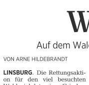 Die Harke v. 17.7.20_Teilbild