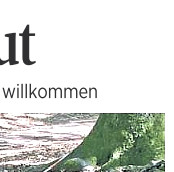 Die Harke v. 17.7.20_Teilbild