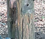 Die Harke v. 17.7.20_Teilbild