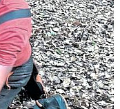 Die Harke v. 17.7.20_Teilbild