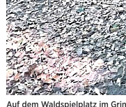 Die Harke v. 17.7.20_Teilbild