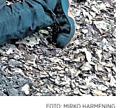 Die Harke v. 17.7.20_Teilbild