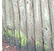 Die Harke v. 28.9.20 - Teilbild