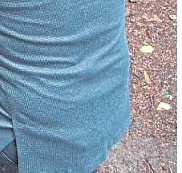 Die Harke v. 28.9.20 - Teilbild