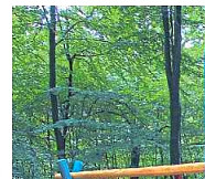 Die Harke v. 28.9.20 - Teilbild