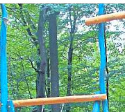 Die Harke v. 28.9.20 - Teilbild