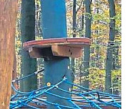 Teilbild_DIE-HARKE_2020-11-10