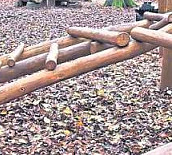 Teilbild_DIE-HARKE_2020-11-10