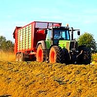 Landwirtschaft